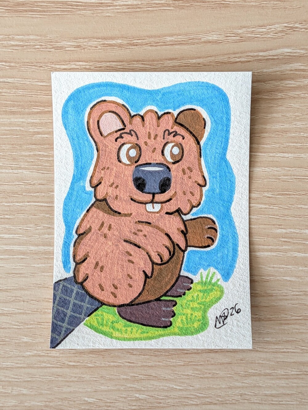 ACEO Original Cute Beaver Acrylic Marker Art Card By Mattoodles